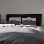 Goody 잔드보르트